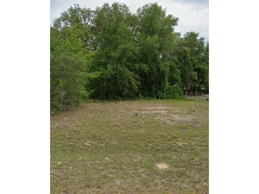 2254 W Deerfield Lane Dunnellon FL 34434 O6208748 image1