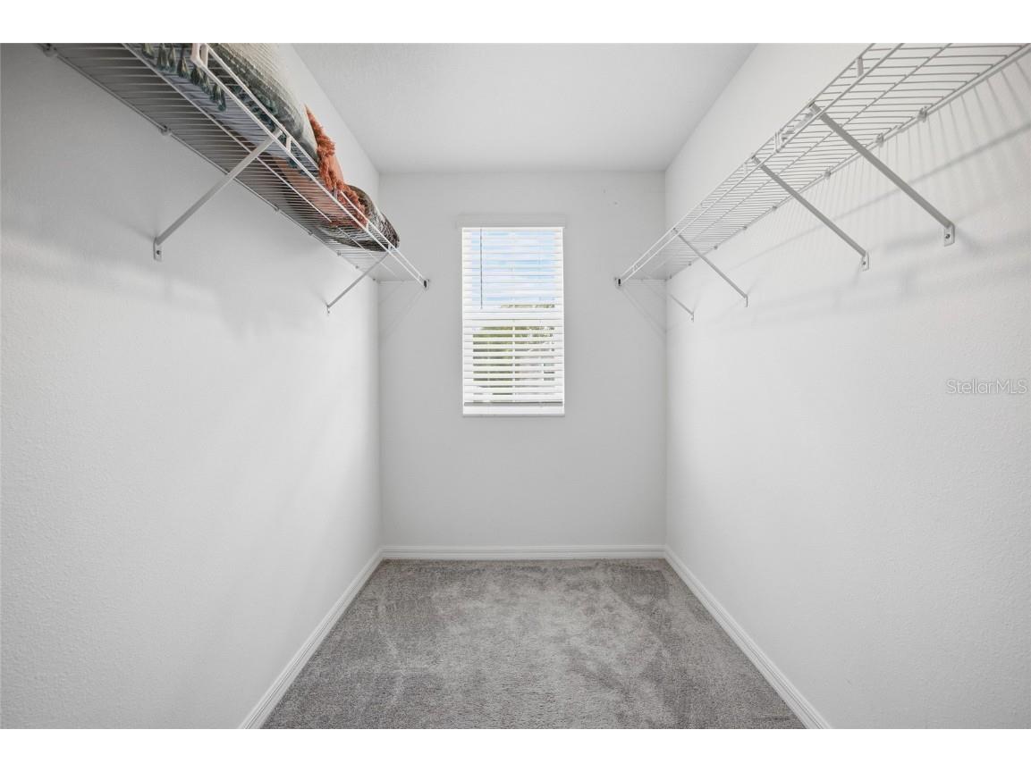 22547 Storybook Cabin Way Land O Lakes FL 34637 TB8449281 image18