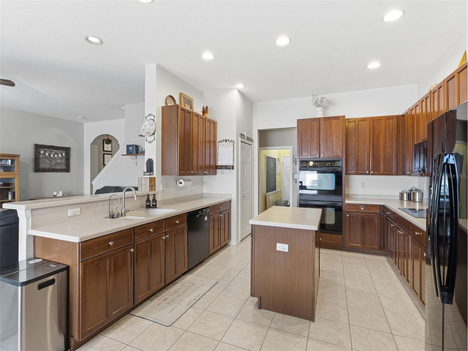 22548 Cliffside Way Land O Lakes FL 34639 TB8491537 image11