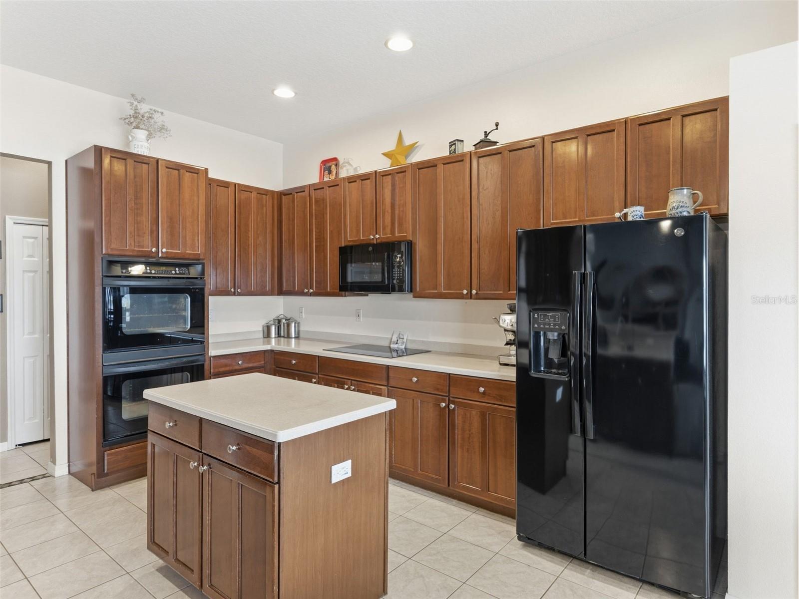 22548 Cliffside Way Land O Lakes FL 34639 TB8491537 image14