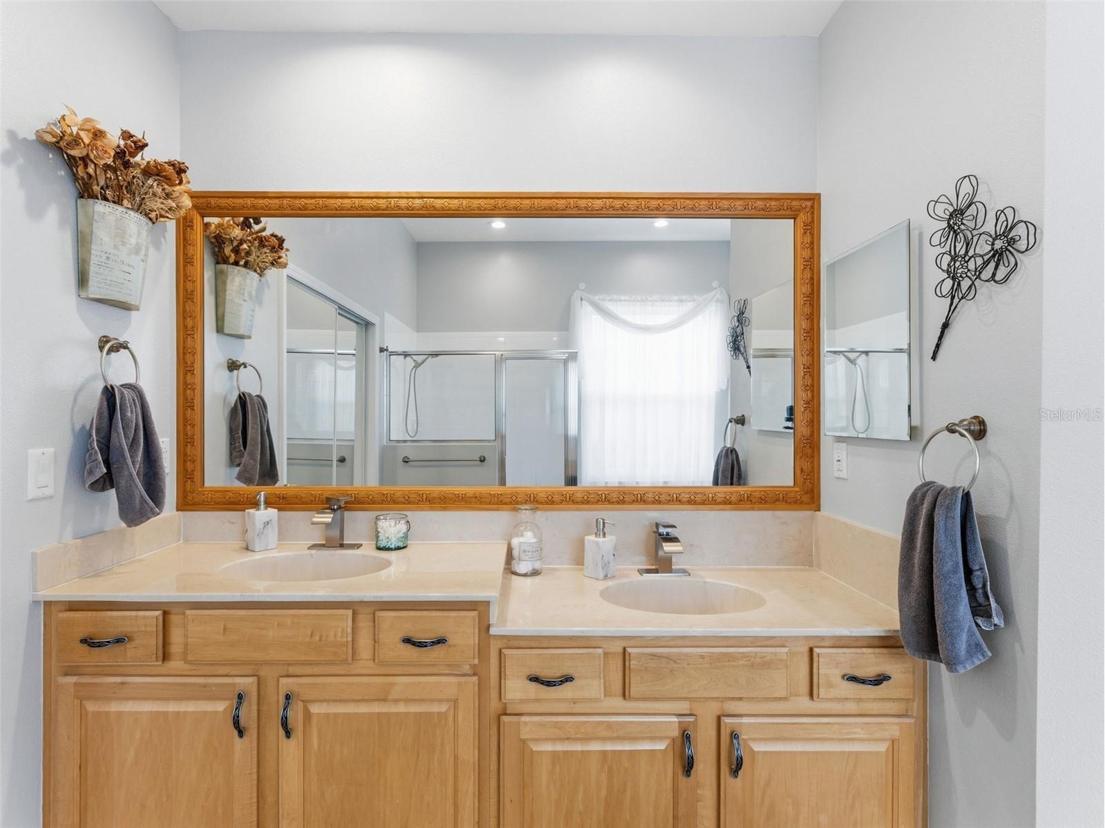 22548 Cliffside Way Land O Lakes FL 34639 TB8491537 image21