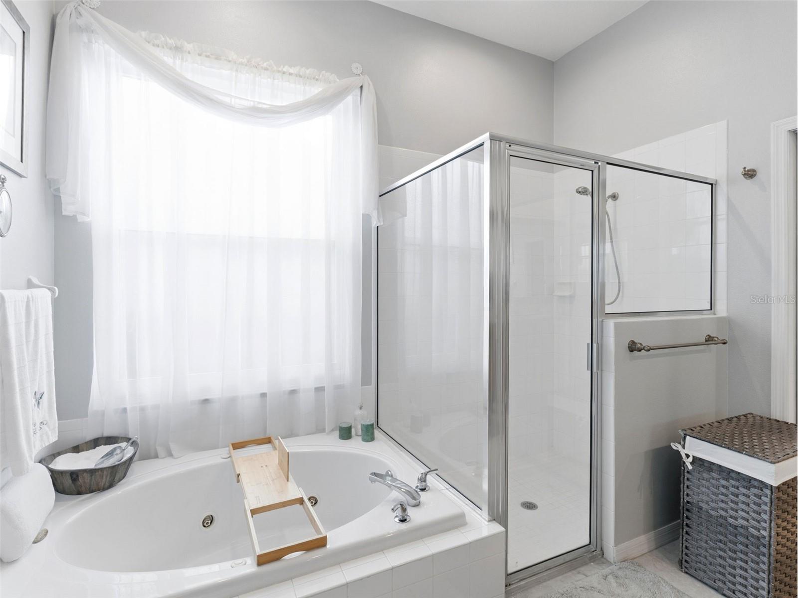 22548 Cliffside Way Land O Lakes FL 34639 TB8491537 image22