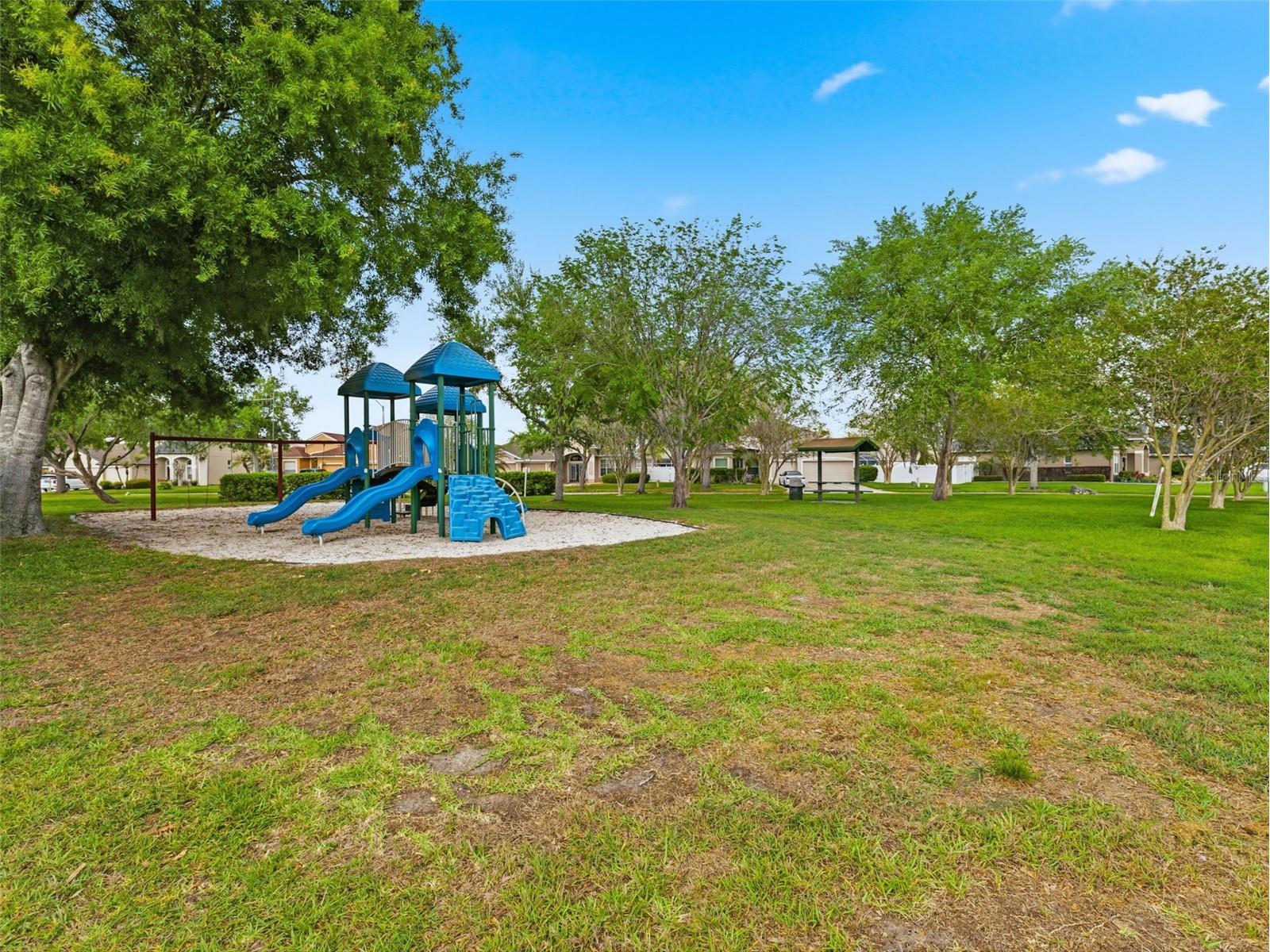 22548 Cliffside Way Land O Lakes FL 34639 TB8491537 image44