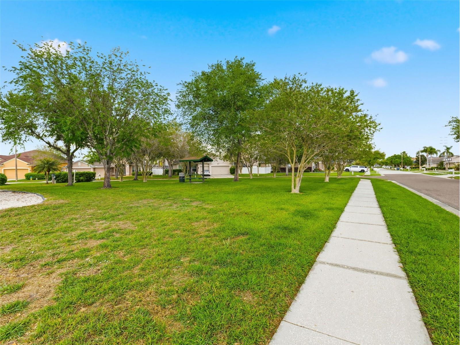 22548 Cliffside Way Land O Lakes FL 34639 TB8491537 image45