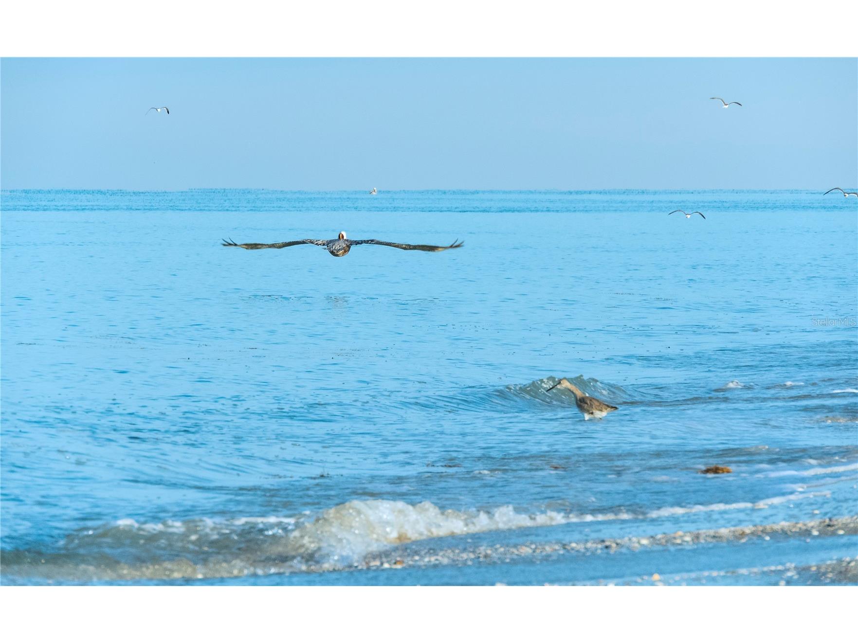 2255 N Beach Road #20 Englewood FL 34223 D6146319 image48