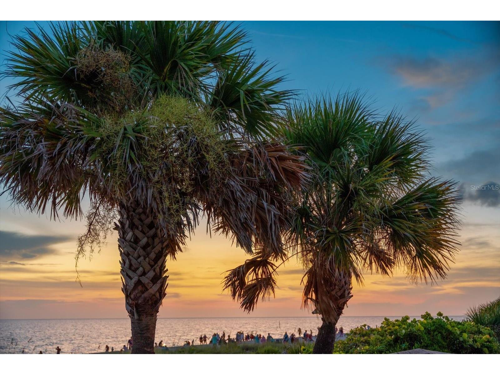 2255 N Beach Road #23 Englewood FL 34223 - LEMON BAY D6145132 image30