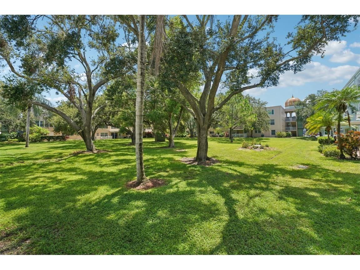 2255 Philippine Drive #9 Clearwater FL 33763 TB8411616 image31