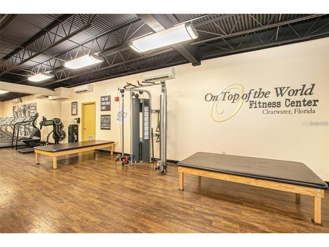 2255 Philippine Drive #9 Clearwater FL 33763 TB8411616 image43