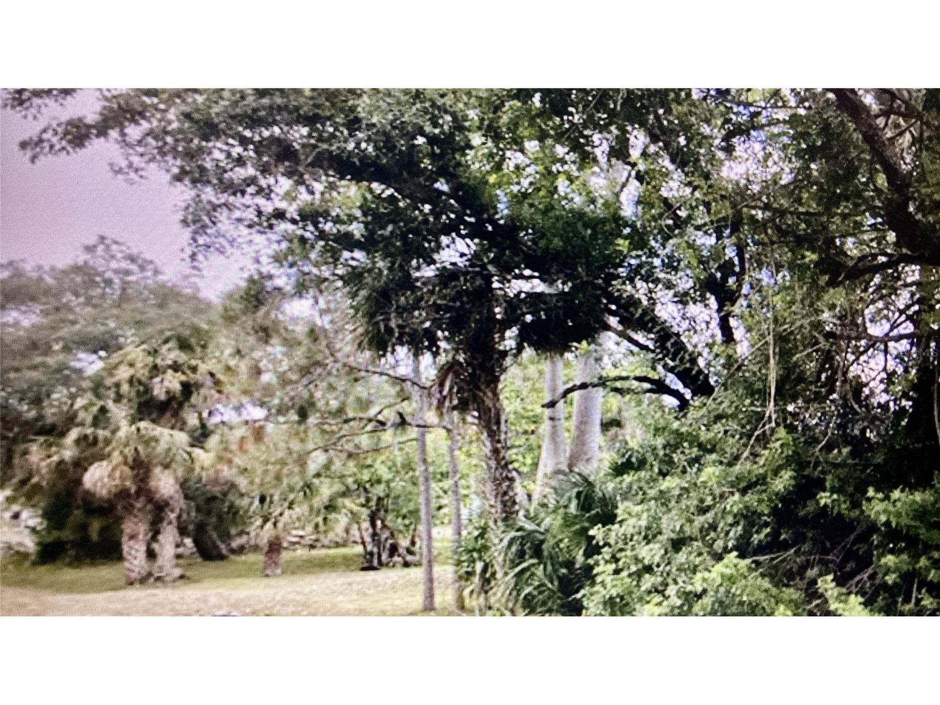 22552 Morocco Avenue Port Charlotte FL 33952 C7523060 image3