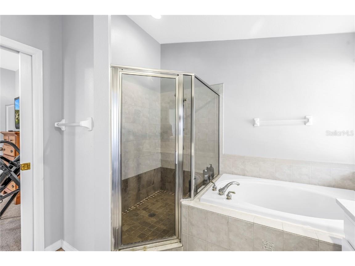 22554 Cliffside Way Land O Lakes FL 34639 TB8455722 image38