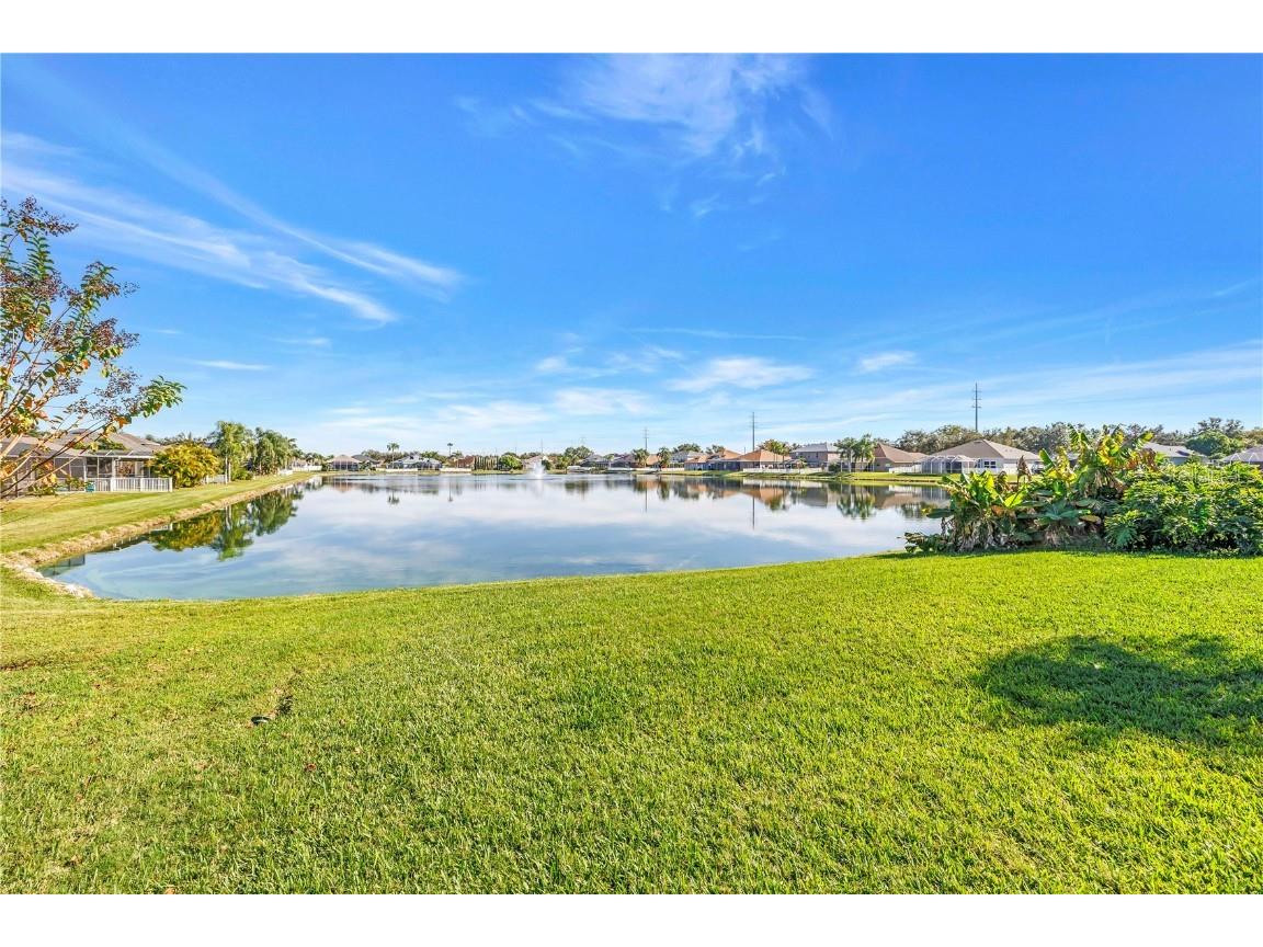 22554 Cliffside Way Land O Lakes FL 34639 TB8455722 image57