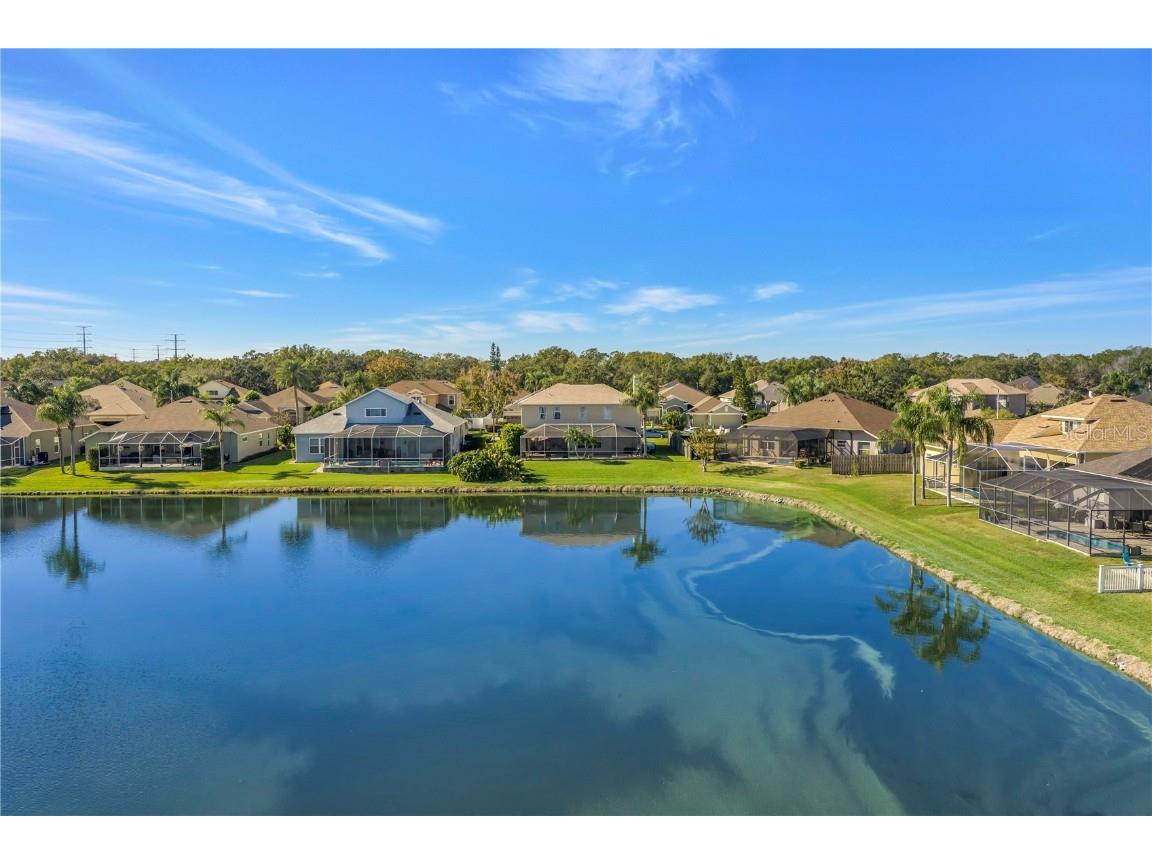 22554 Cliffside Way Land O Lakes FL 34639 TB8455722 image72