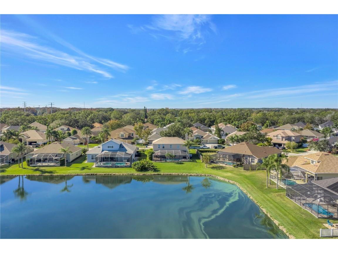 22554 Cliffside Way Land O Lakes FL 34639 TB8455722 image73