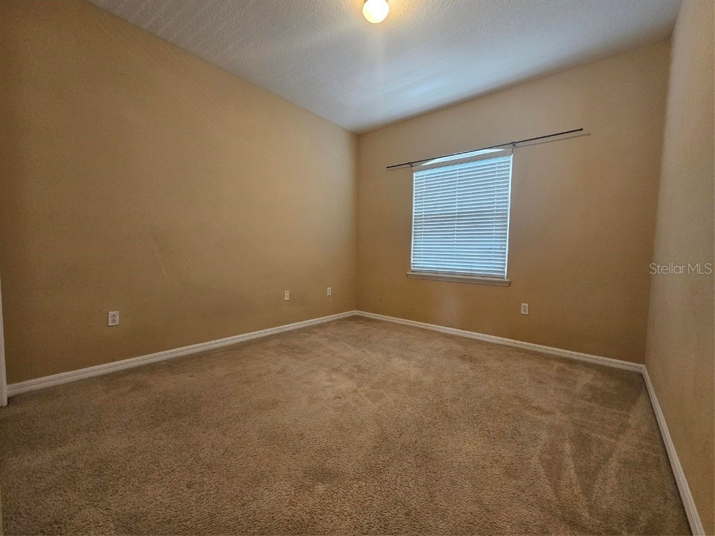 2256 Chatham Place Drive Orlando FL 32824 S5133569 image29