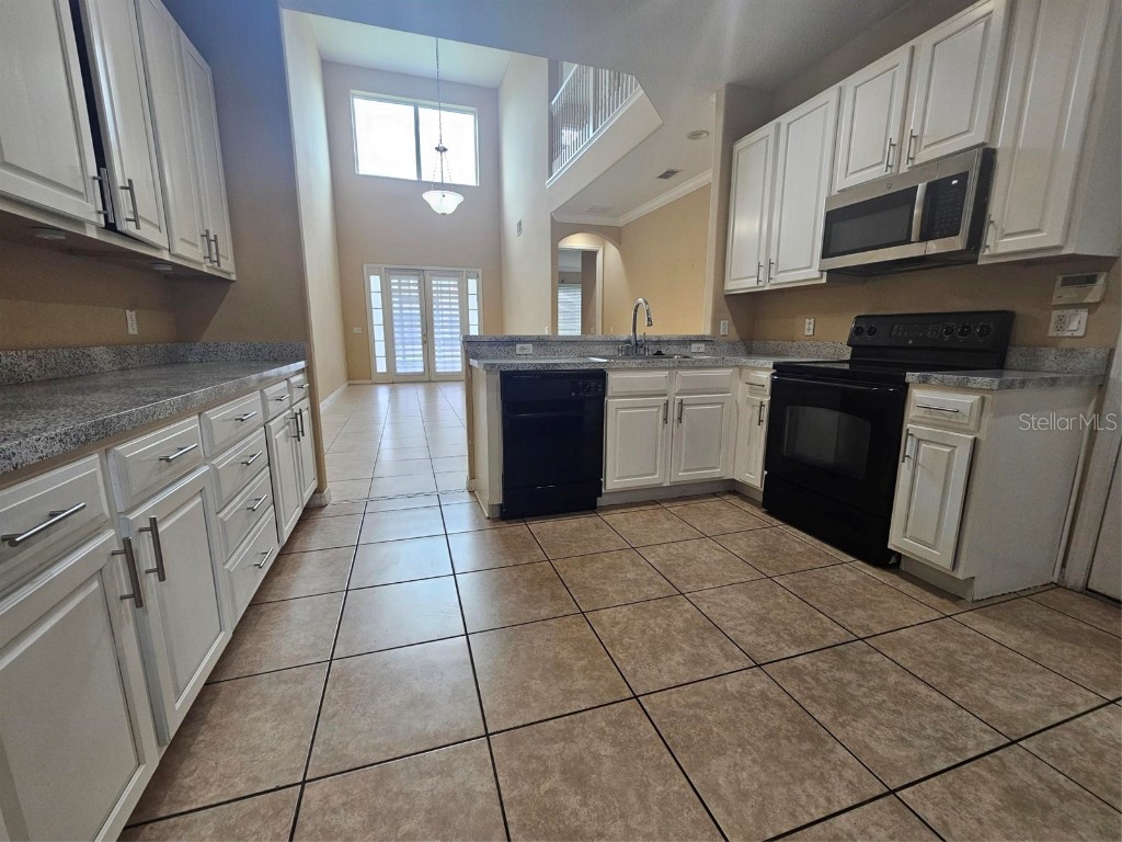 2256 Chatham Place Drive Orlando FL 32824 S5133569 image6