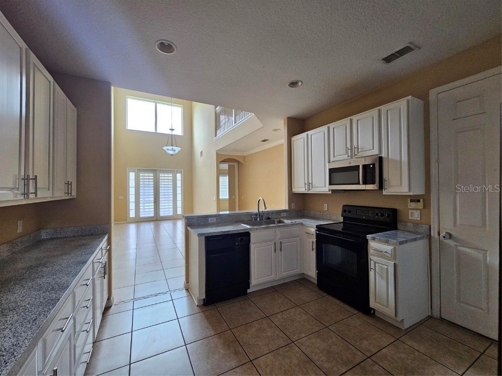 2256 Chatham Place Drive Orlando FL 32824 S5133569 image9