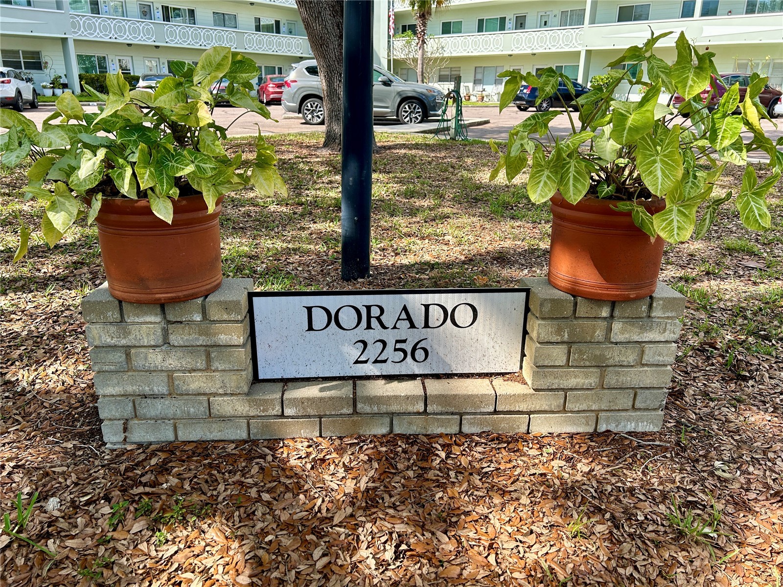 2256 Philippine Drive #42 Clearwater FL 33763 TB8493687 image2