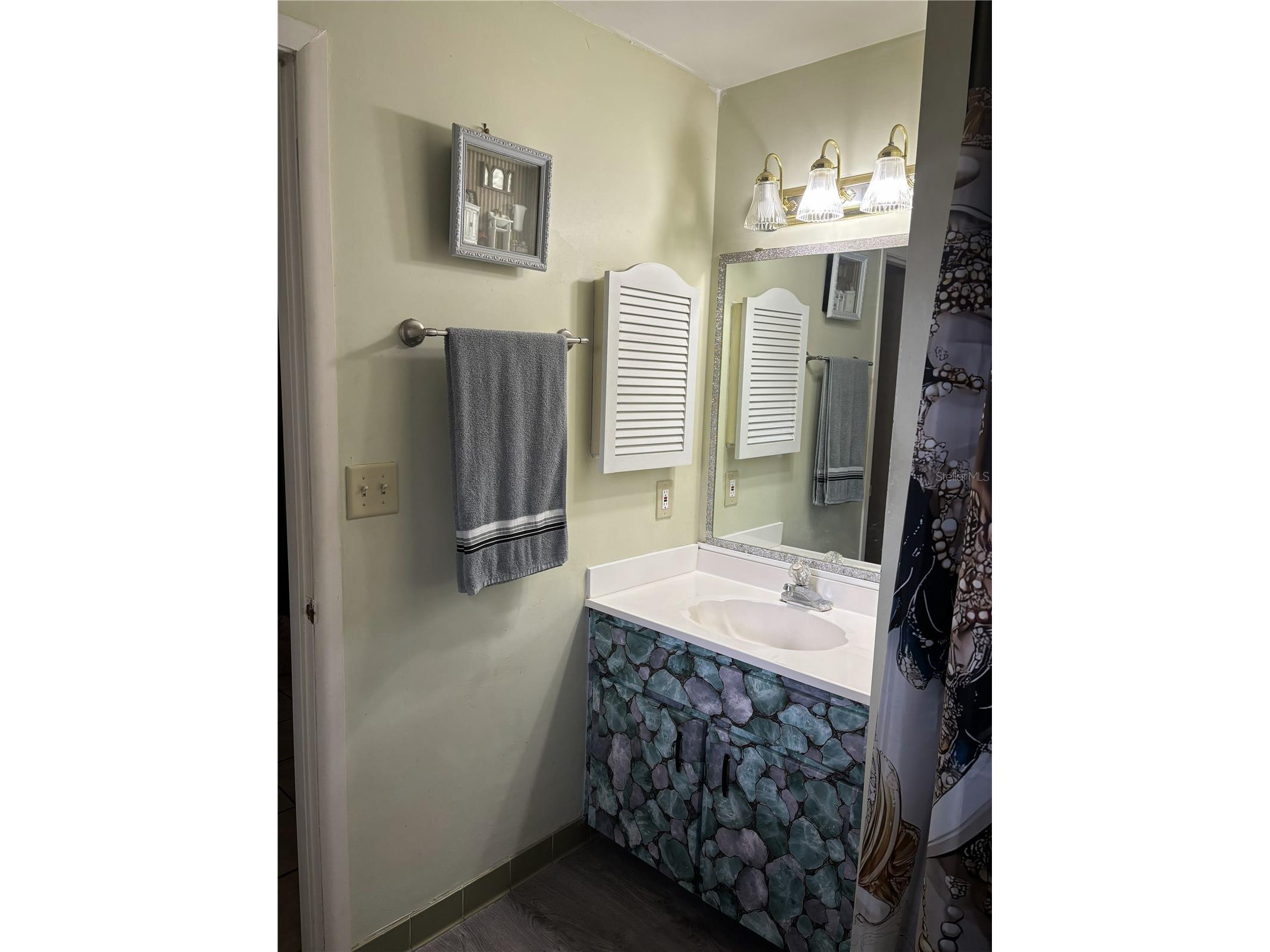 2256 W Greenway Place Citrus Springs FL 34434 P4938148 image17