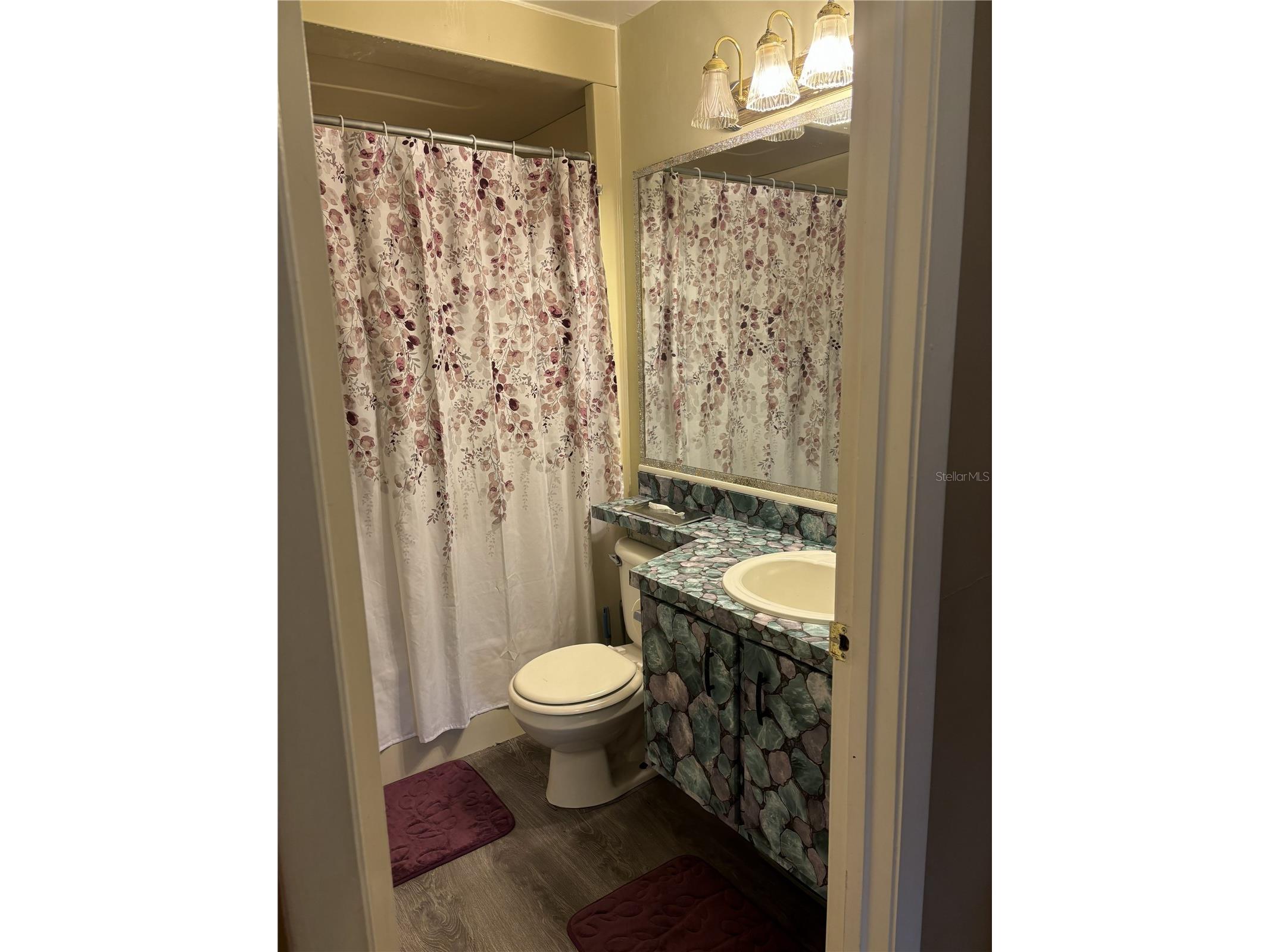 2256 W Greenway Place Citrus Springs FL 34434 P4938148 image21