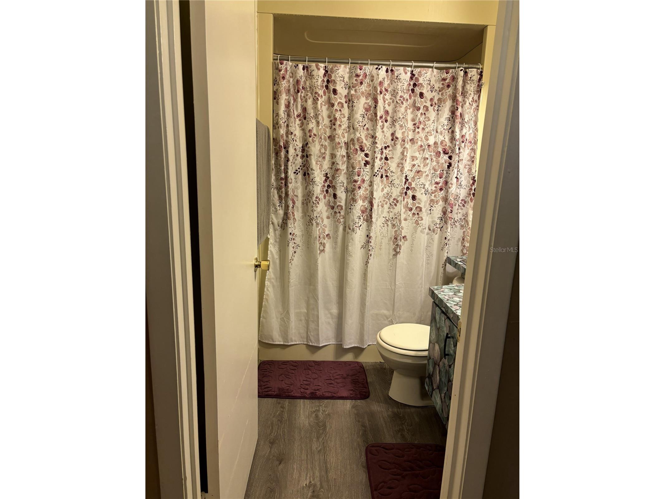 2256 W Greenway Place Citrus Springs FL 34434 P4938148 image22