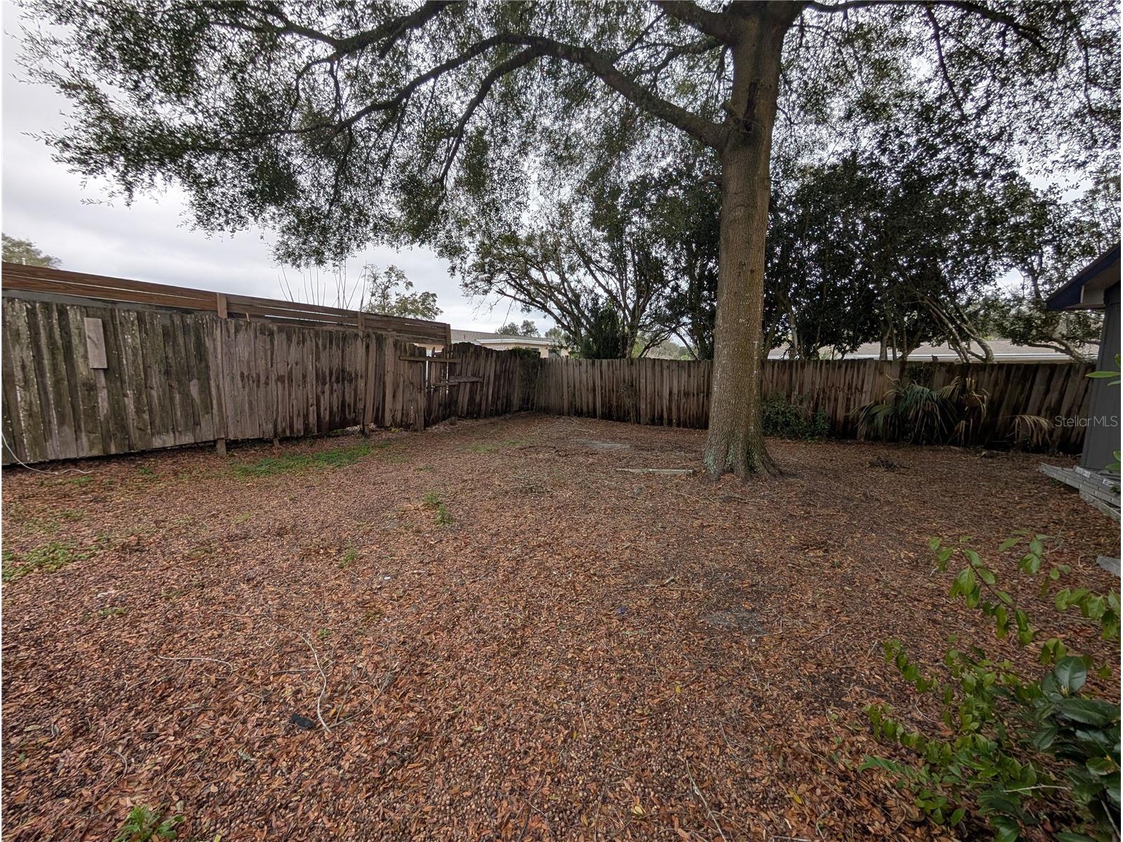 2256 W Greenway Place Citrus Springs FL 34434 P4938148 image30