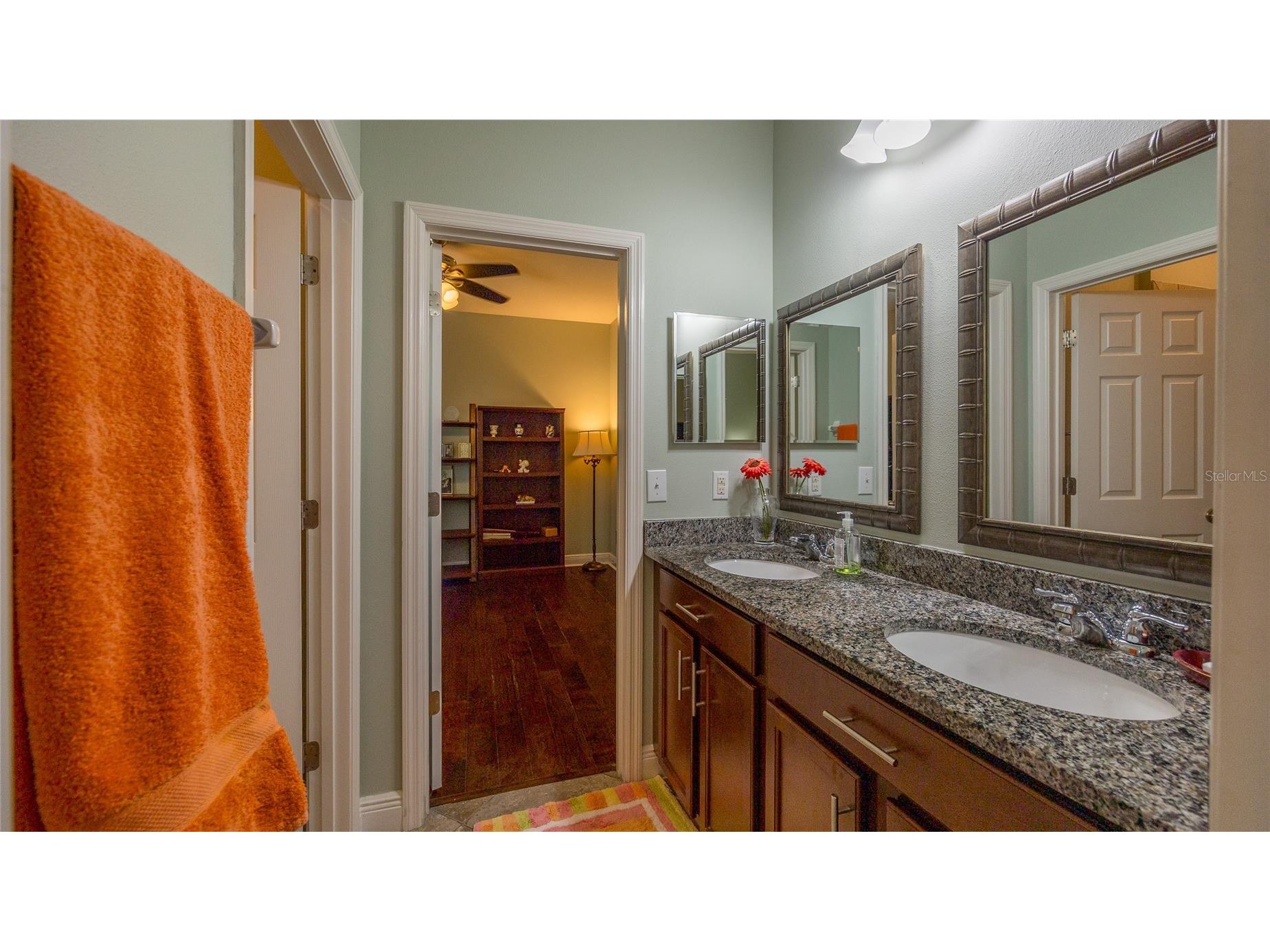 22564 Cherokee Rose Place Land O Lakes FL 34639 TB8513598 image23