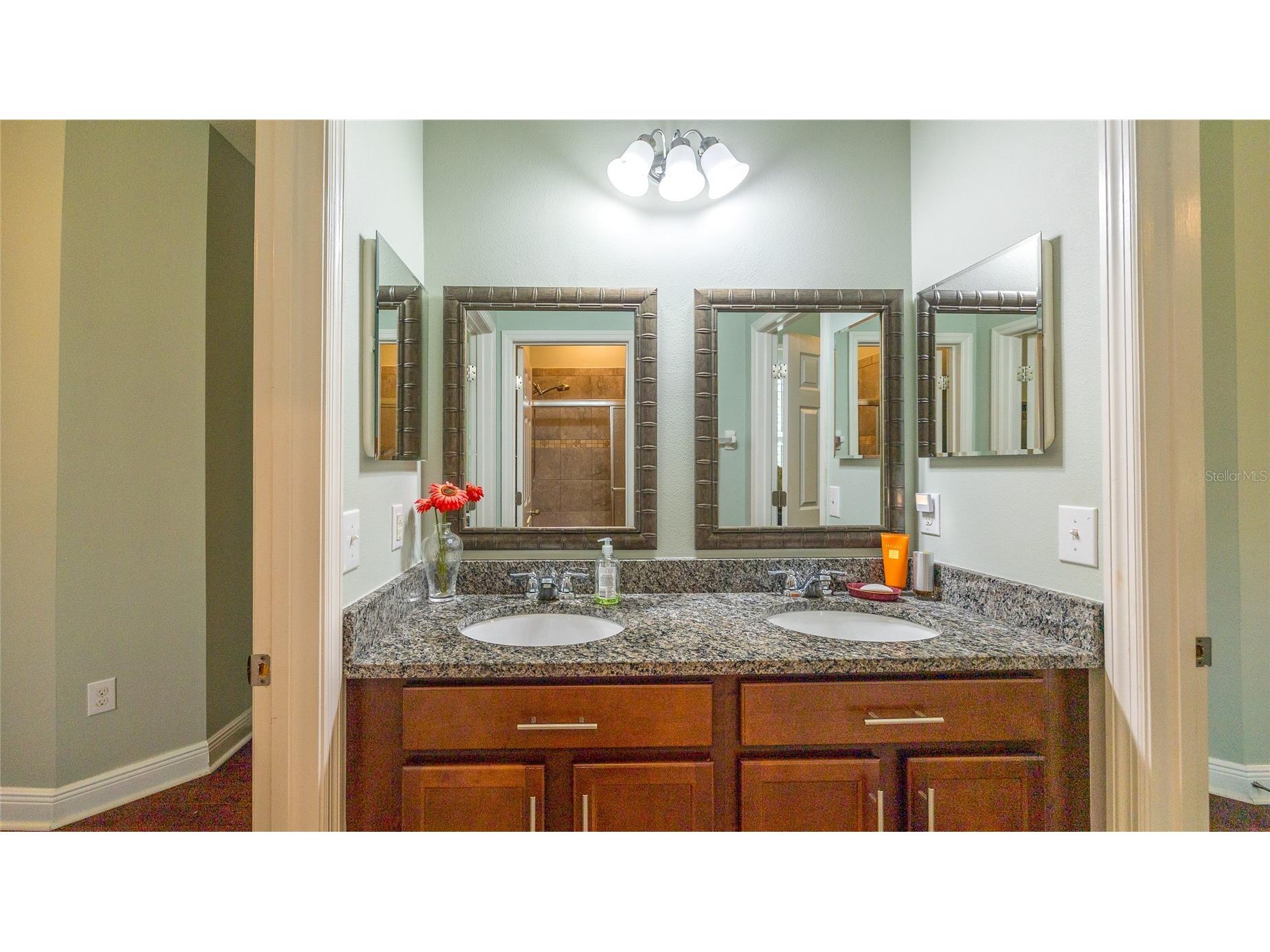 22564 Cherokee Rose Place Land O Lakes FL 34639 TB8513598 image26