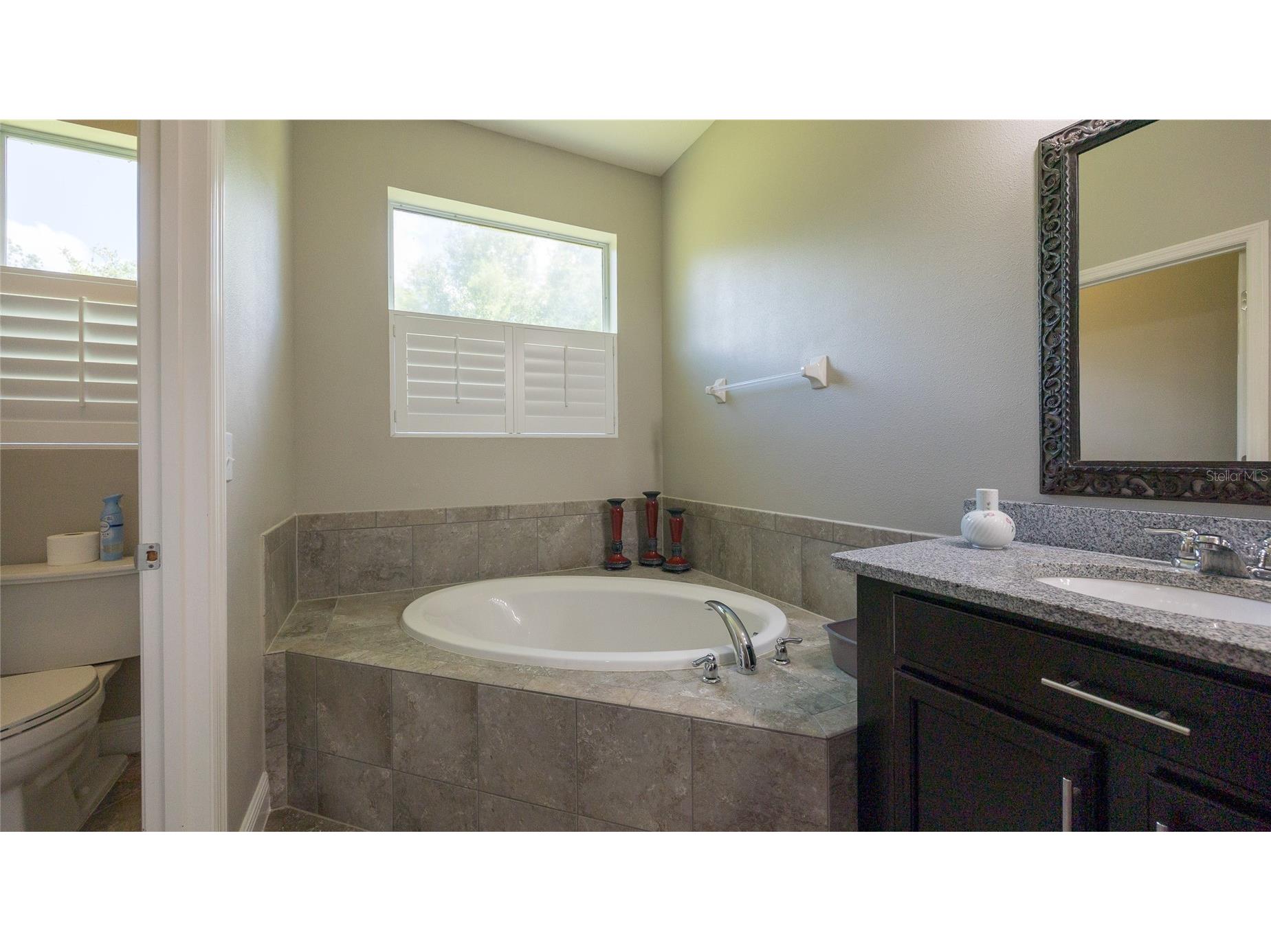 22564 Cherokee Rose Place Land O Lakes FL 34639 TB8513598 image40