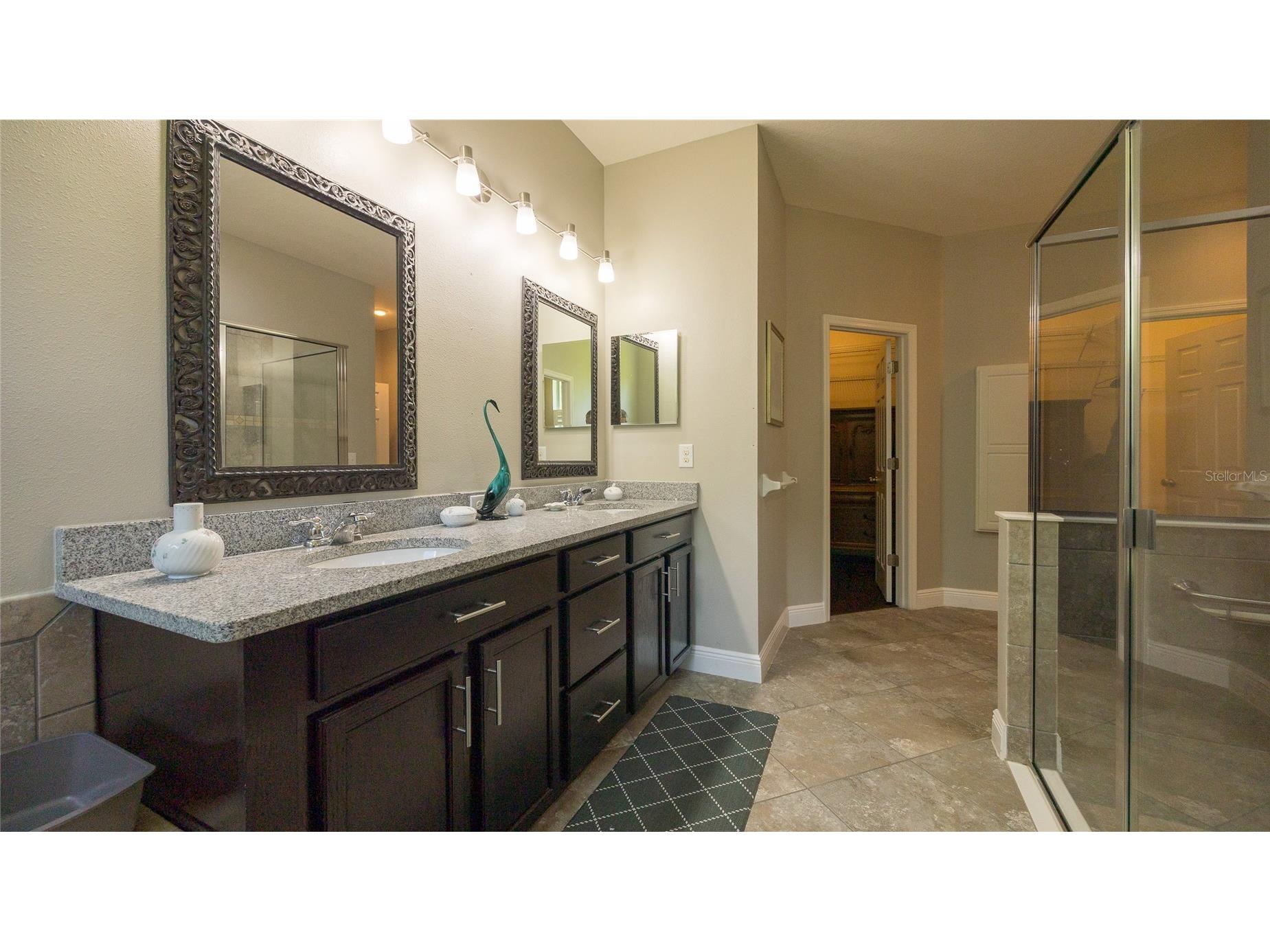 22564 Cherokee Rose Place Land O Lakes FL 34639 TB8513598 image41