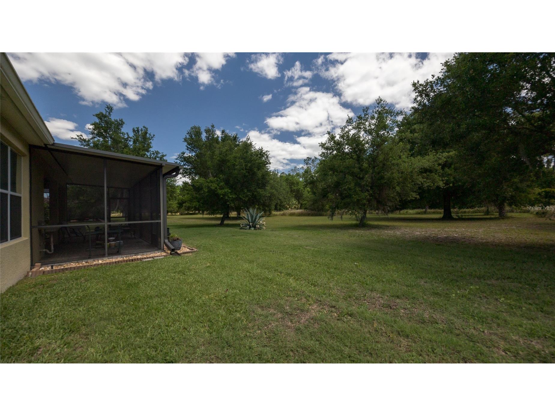 22564 Cherokee Rose Place Land O Lakes FL 34639 TB8513598 image54