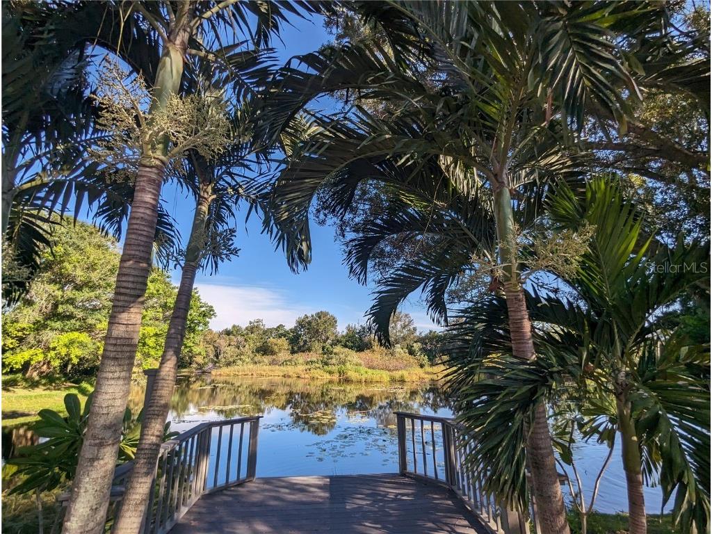 2257 Lake Drive Dunedin FL 34698 - Oak Lake U8210084 image1