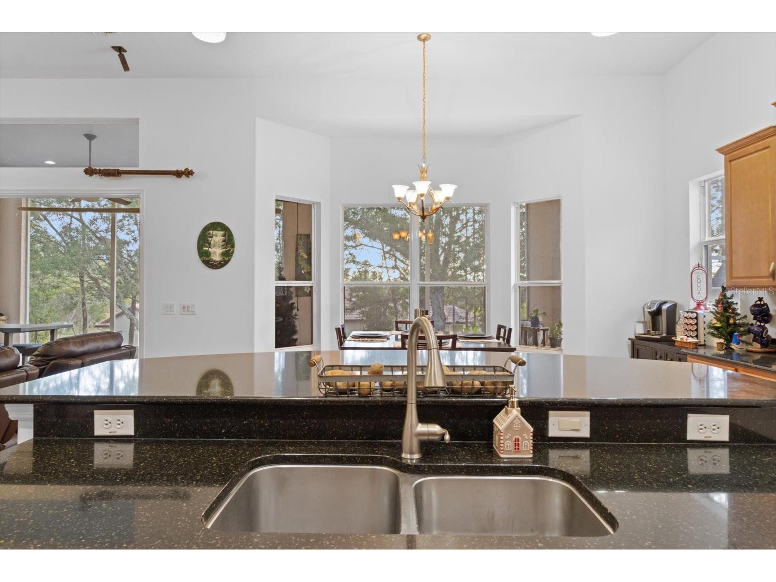 2257 N Hickory Glen Point Hernando FL 34442 OM691832 image38