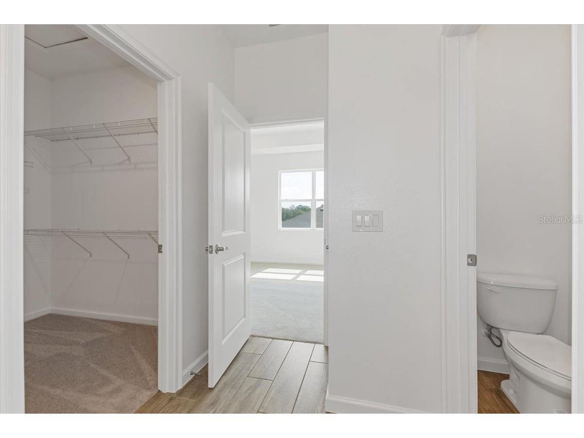 2257 Sirena Lane Mount Dora FL 32757 O6416190 image10