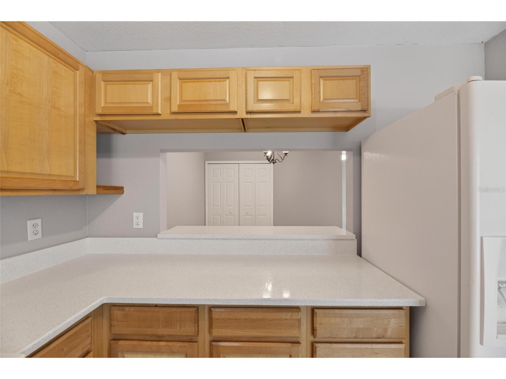 2258 Fluorshire Drive Brandon FL 33511 TB8513866 image20