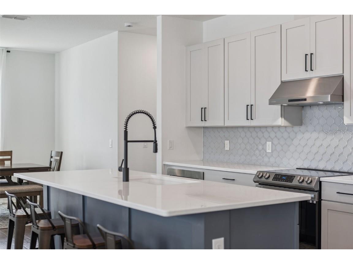 2258 Lost Horizon Way Minneola FL 34715 O6368119 image18