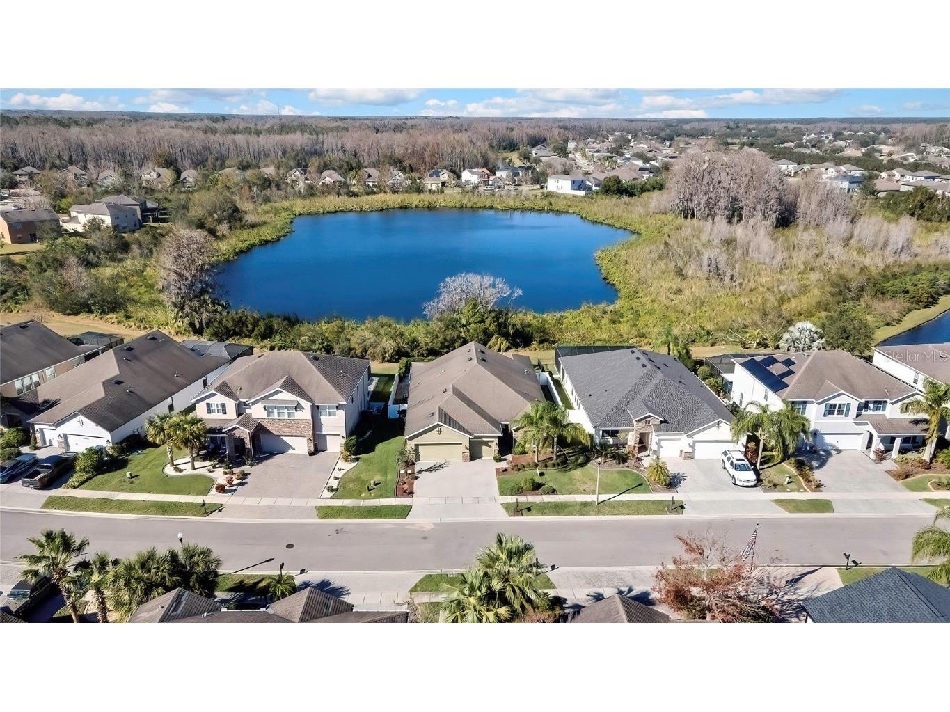 22583 Cherokee Rose Place Land O Lakes FL 34639 TB8336756 image1