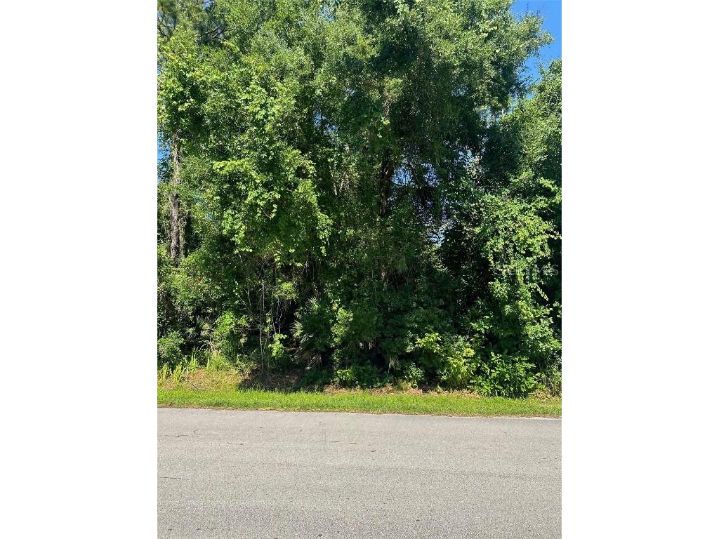 2259 3rd Avenue Deland FL 32724 O6206182 image1