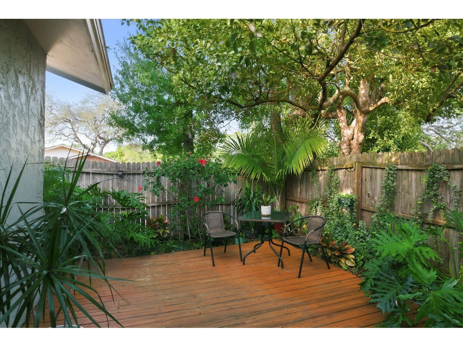 2259 Lemon Court Dunedin FL 34698 TB8488606 image26