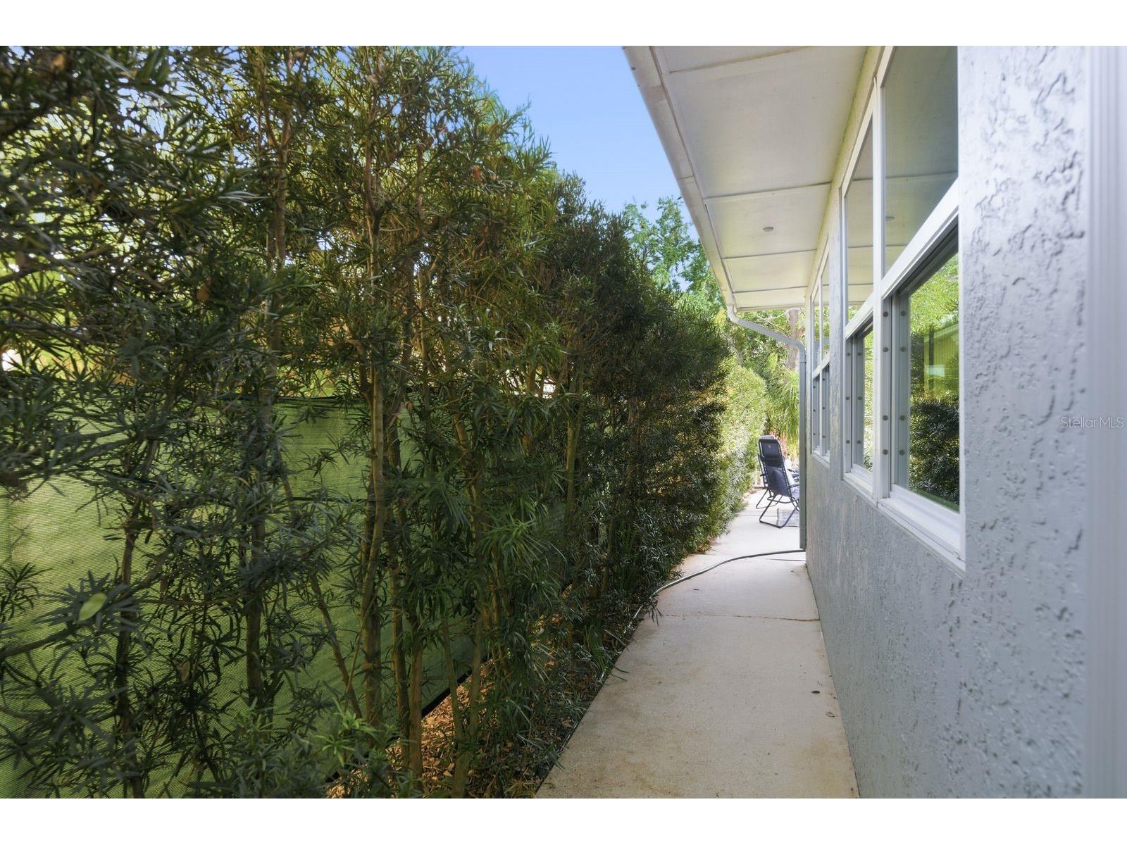 2259 Lemon Court Dunedin FL 34698 TB8488606 image27