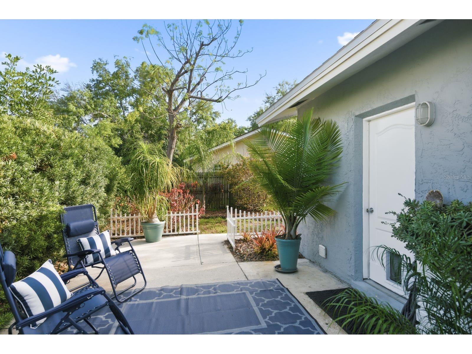 2259 Lemon Court Dunedin FL 34698 TB8488606 image28