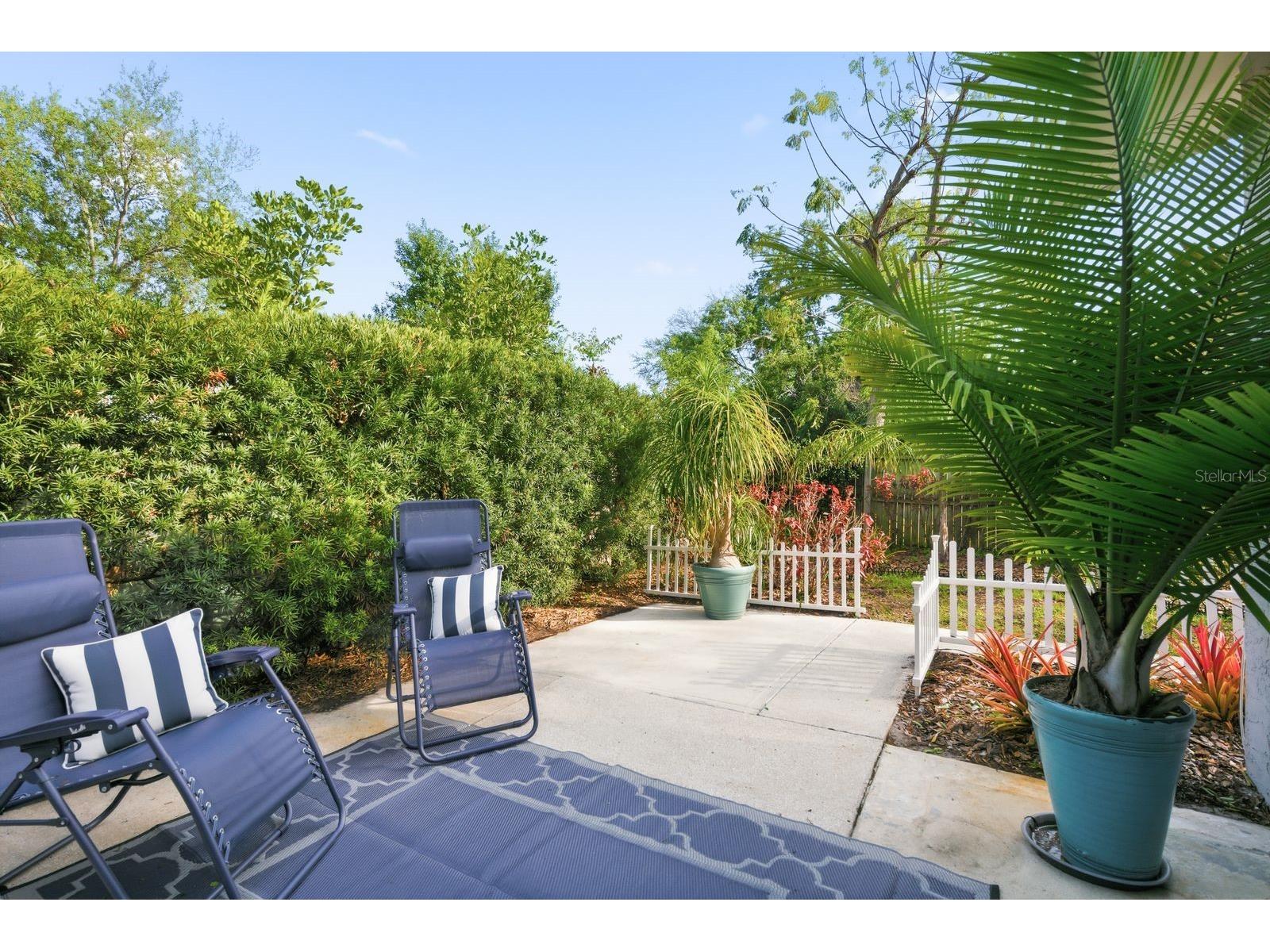 2259 Lemon Court Dunedin FL 34698 TB8488606 image29