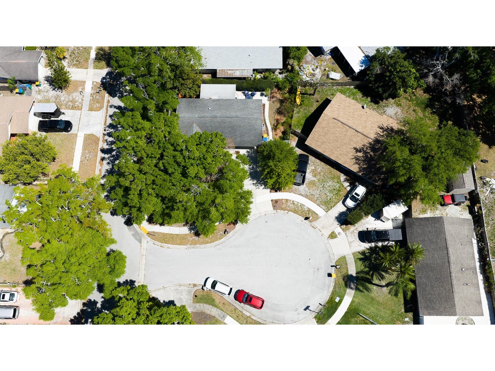 2259 Lemon Court Dunedin FL 34698 TB8488606 image32