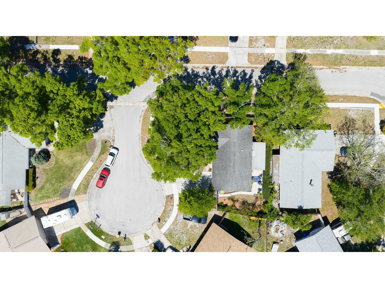 2259 Lemon Court Dunedin FL 34698 TB8488606 image33