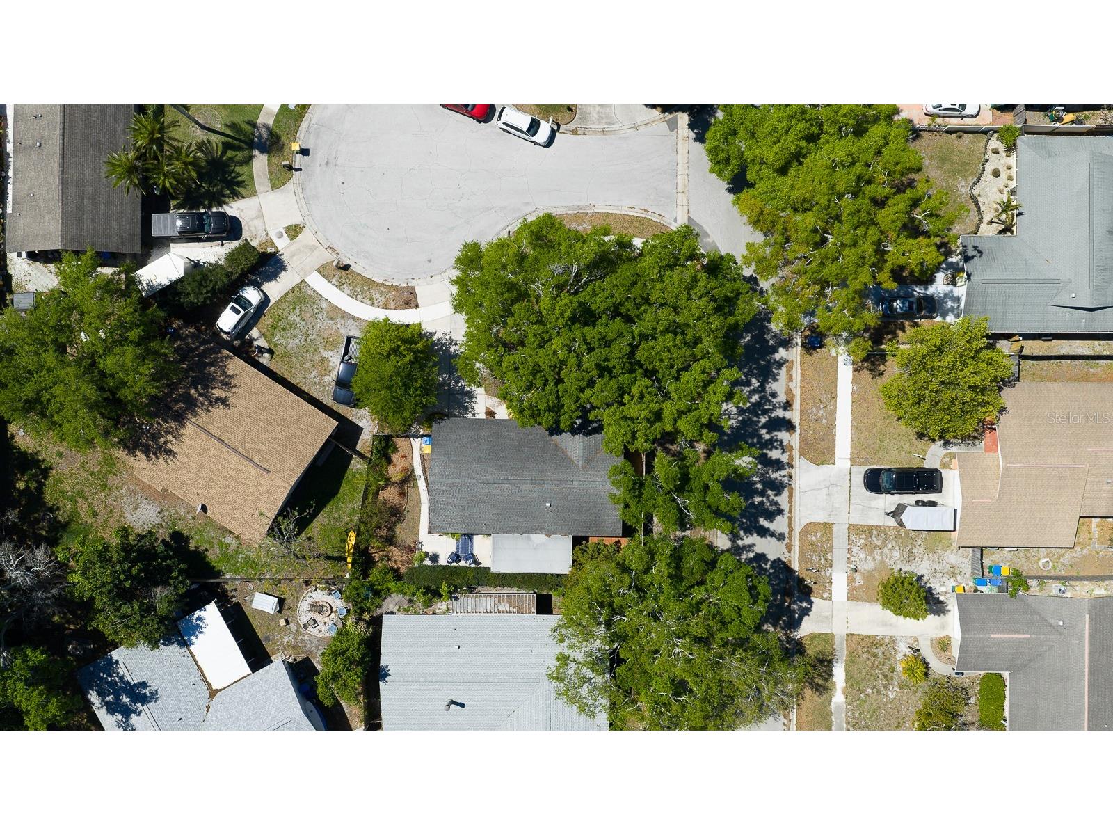 2259 Lemon Court Dunedin FL 34698 TB8488606 image34