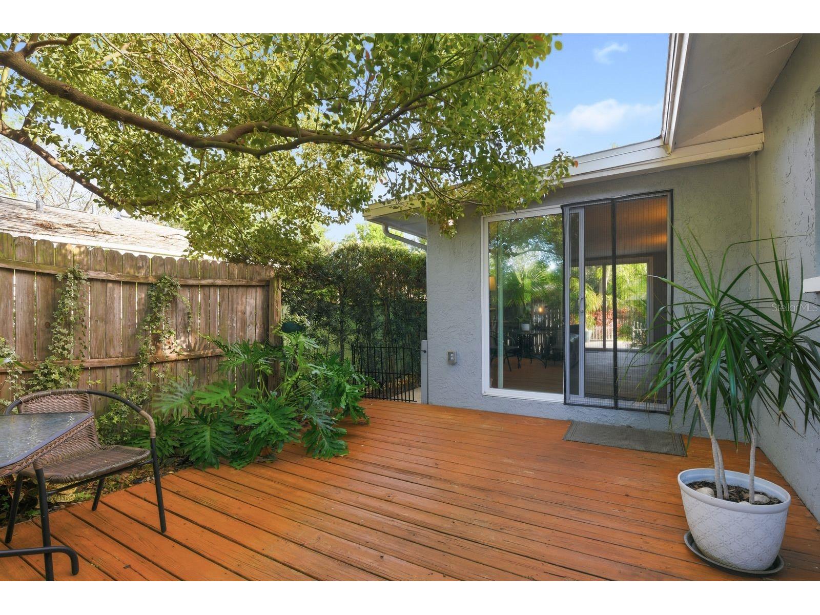 2259 Lemon Court Dunedin FL 34698 TB8488606 image5