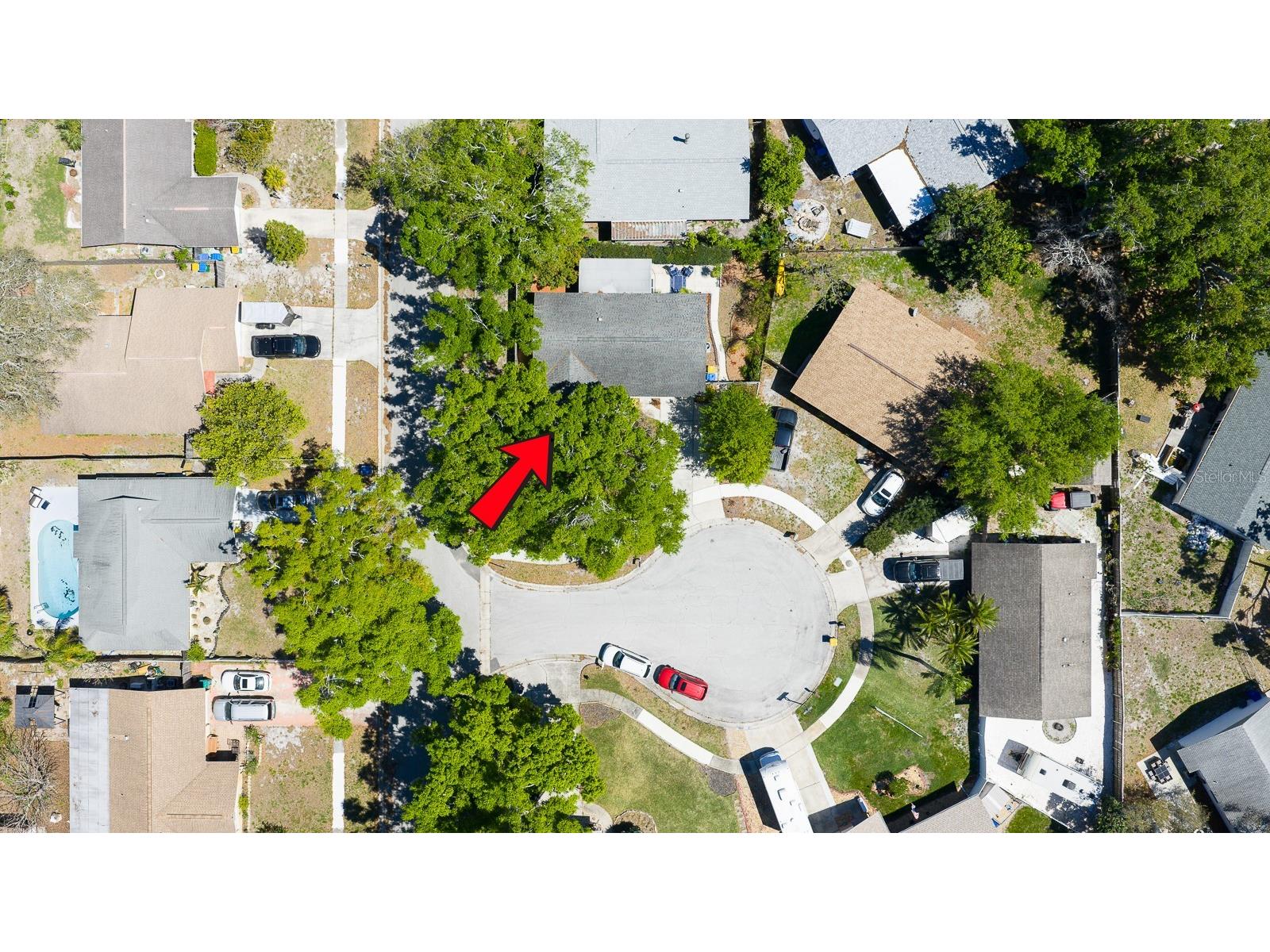 2259 Lemon Court Dunedin FL 34698 TB8488606 image6