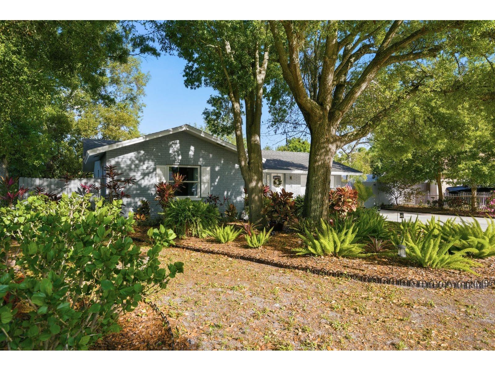 2259 Lemon Court Dunedin FL 34698 TB8488606 image8