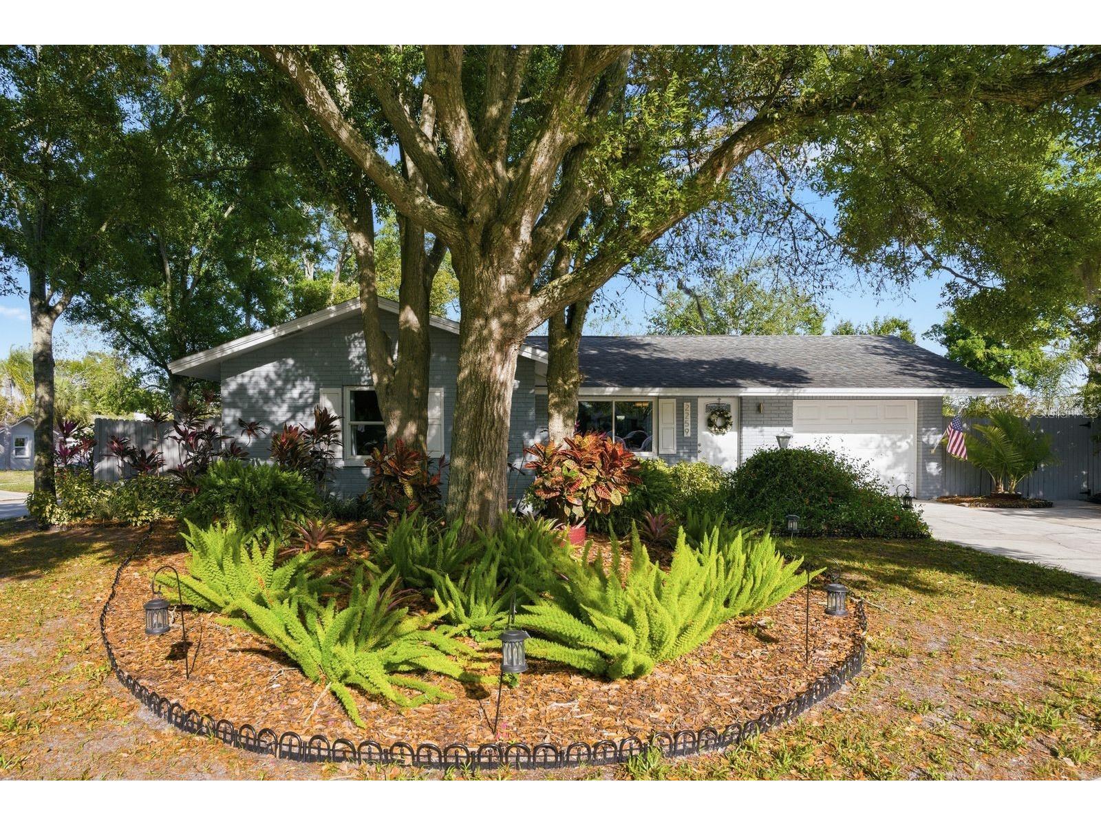 2259 Lemon Court Dunedin FL 34698 TB8488606 image9