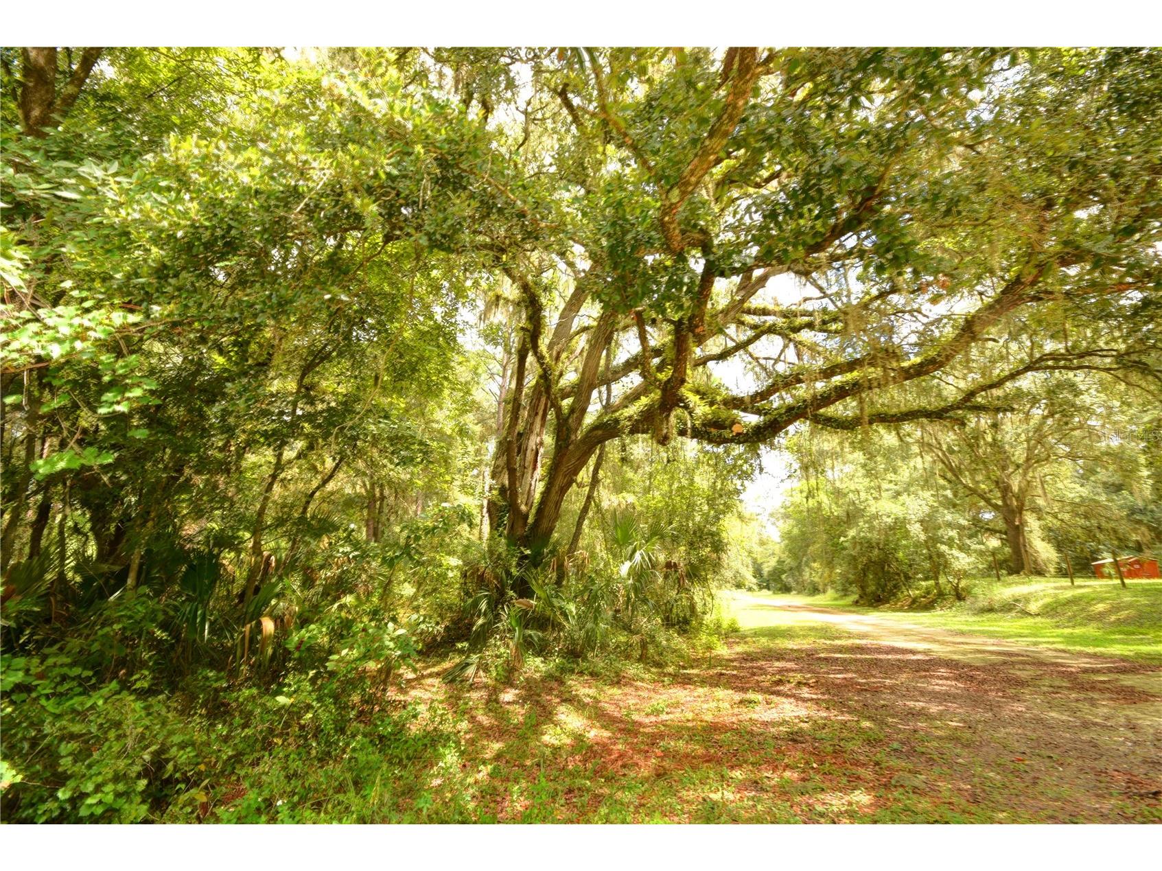 2259 W Wildflower Court Dunnellon FL 34434 OM709400 image2