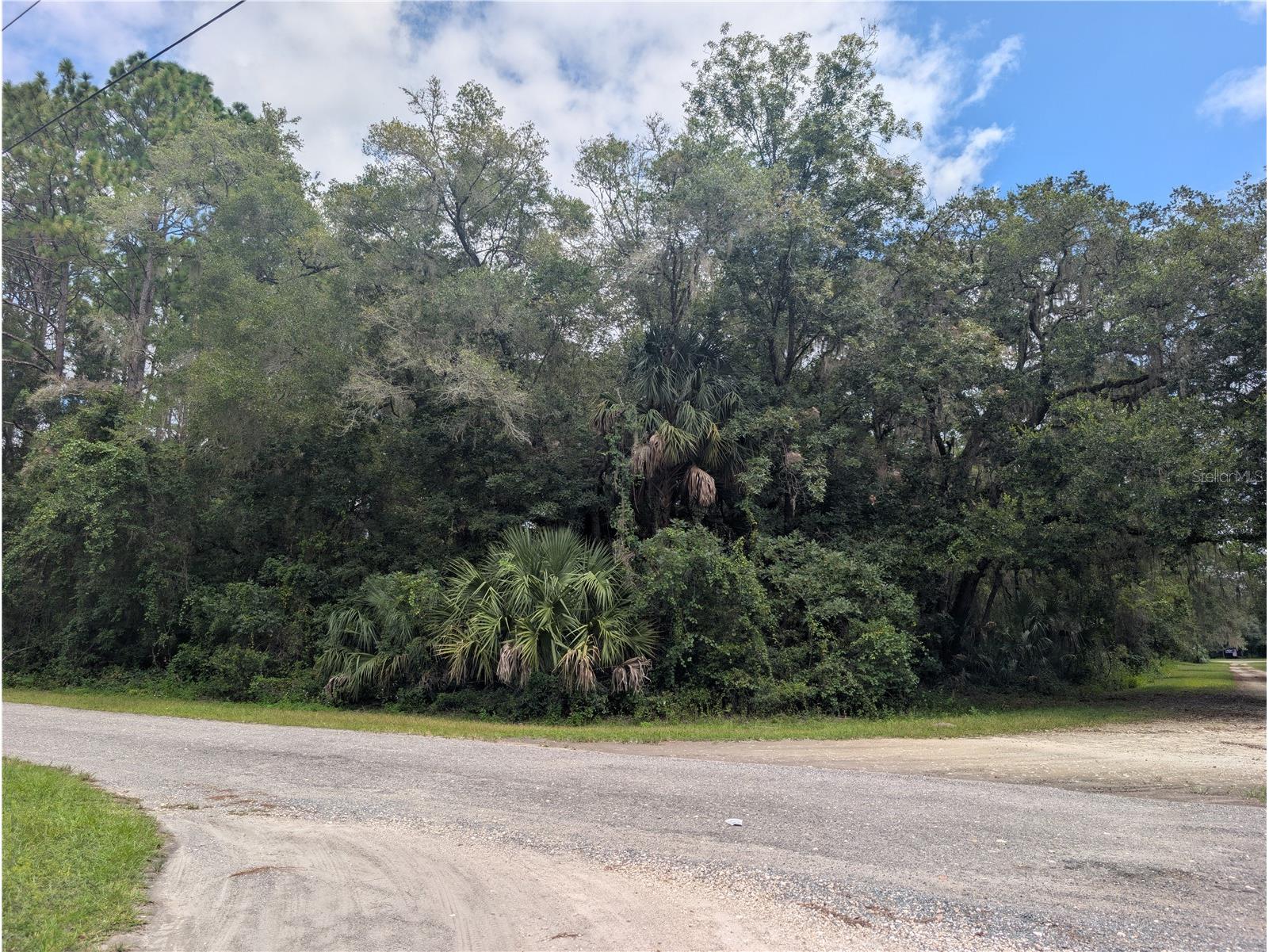 2259 W Wildflower Court Dunnellon FL 34434 OM709400 image3